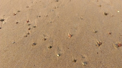 Fototapeta na wymiar Little stones on sand in the beach