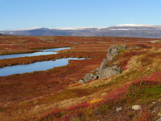 Herbstlandschaft in den Westfjorden von Island