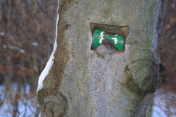 View of a metal shield embedded in a tree with the number 83 