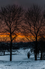 Dawn over the snowy garden