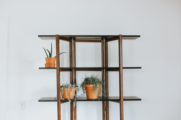 Potted plants on shelf unit