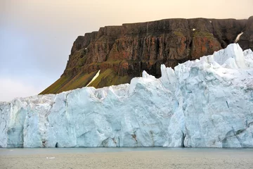 Gordijnen Arctic glacier  © Vladimir Melnik