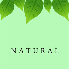 lettering nature and green leaves above reflect ecology emblem o