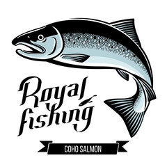 Coho Salmon fish vector illustration