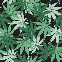 Cannabis or Marijuana leaf seamless pattern in vector format.
