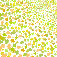 Green Maple Leaves Seamless Pattern on White Background