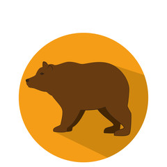 bear animal isolated icon vector illustration design