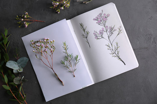 Plants and sketchbook with drawings on grey background