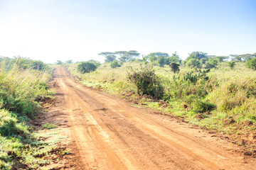 Fototapeta na wymiar African landscape - dirt road through savanna, Kenya