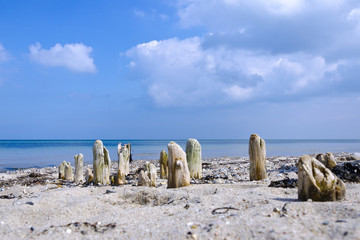 Buhnen an der Ostsee