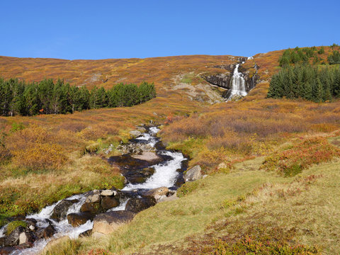 Tungudalur bilder Bläddra bland 18 stockfoton, vektorer och videor