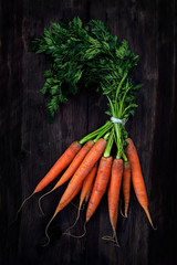 Bunch of carrots with fresh green leaves on a dark rustic wooden background