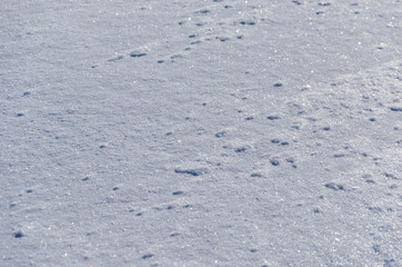 Texture of the white fluffy snow