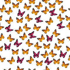 Fototapeta na wymiar illustration of a colorful butterfly