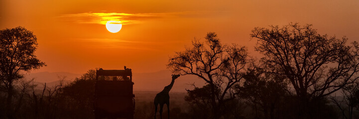 African Safari Sunset Silhouette - obrazy, fototapety, plakaty