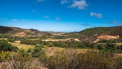 Fototapeta na wymiar Portugal - Meadow in the country