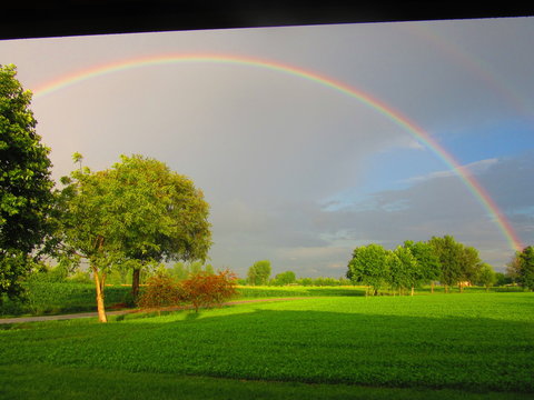 arcobaleno