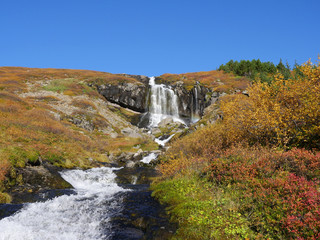 Obraz premium Wasserfall Bunárfoss am Tungudalur bei Ísafjörður, Westfjorde, I