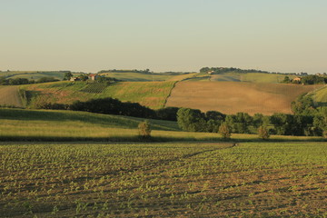 campagna marchigiana