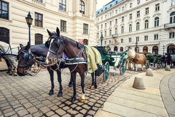 Fototapeta na wymiar Horse-driven carriage at Hofburg palace in Vienna, Austria