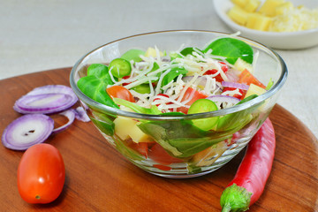 Fresh vegetable salad with cheese and ingredients