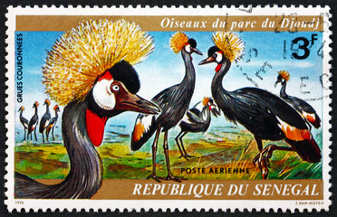 Postage stamp Senegal 1974 Crowned Crane, Bird