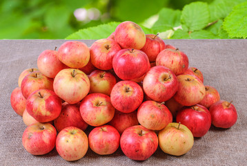 Red apples on sackcloth with blurred background summer