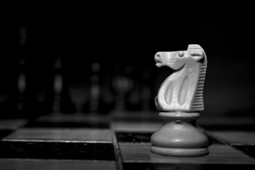 Scacchi fotografati su una scacchiera