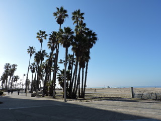 Venice Beach, CA