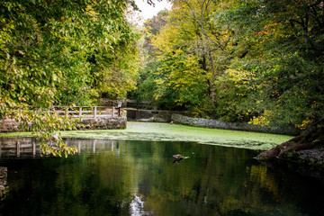 Shramm Park Hatchery