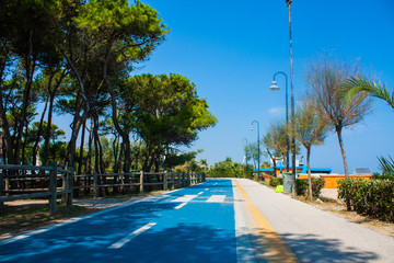 Bicycle track on the adriatic sea coast. Seashore of city Alba Adriatica in Italy, Pine trees on the side, summer sunny day.