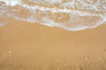 Adriatic Sea coast view. Seashore of Italy, summer sandy beach with clouds on horizon.