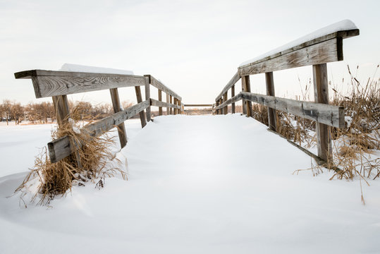 Wintery Scene in Minnesota