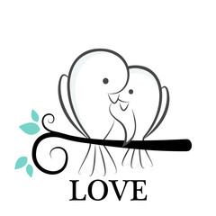 love birds vector
