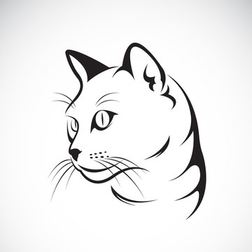 Vector of a cat face design on white background. Pet. Easy editable layered vector illustration.
