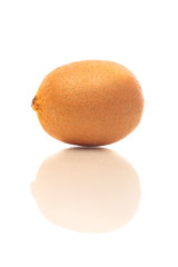 Kiwi With Reflection