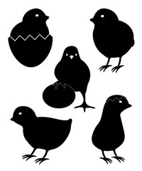 Küken Icons Schwarz - Ostern, Ostereier