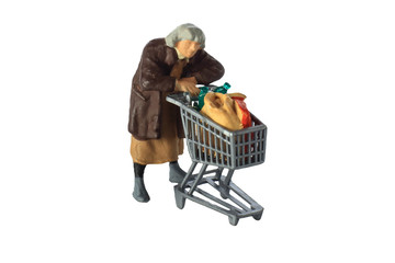 A figure of shopping housewife with cart isolated on white background. conceptual image of consumer, customer, client and buyer.
