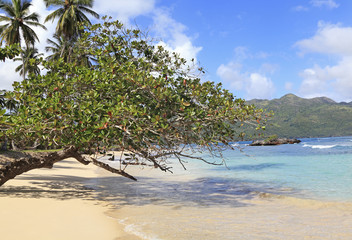 Fototapeta na wymiar Playa Rincon, beach attraction in Samana Peninsula, Dominican Republic