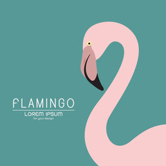 Vector of a flamingo design on blue background, Wild Animals.