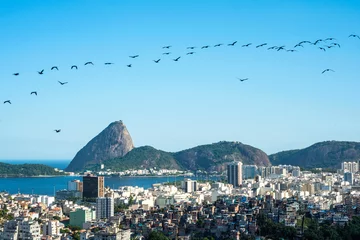 Zelfklevend Fotobehang Rio de Janeiro, Sugarloaf Mountain © Kseniya Ragozina
