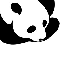 Obraz premium Vector of a panda design on a white background. Wild Animals.