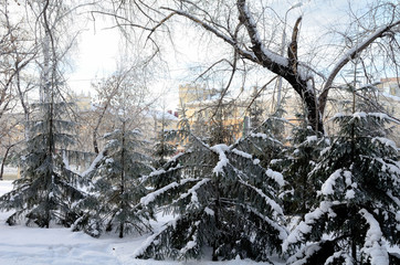 Winter Siberian city park, Omsk region