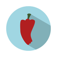 red pepper vegetable icon over blue circle and  white background. colorful design. vector illustration