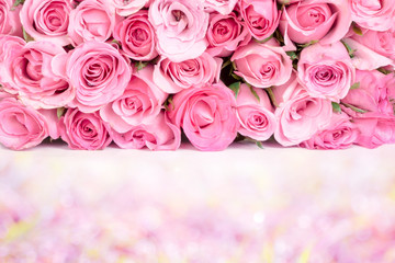 border of Beautiful fresh sweet pink rose for love romantic vale