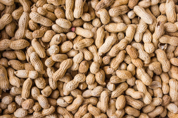 Peanuts  background.  Raw peanuts.  Many peanuts in shells