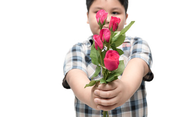red rose in little hand boy isolated