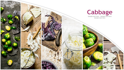 Food collage of fresh cabbage.