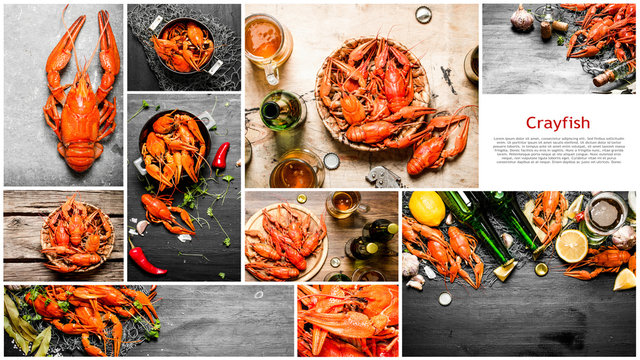 Food collage of crayfish.