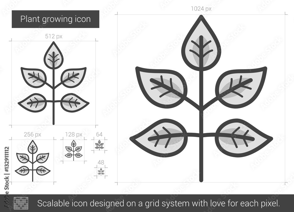 Wall mural Plant growing line icon.